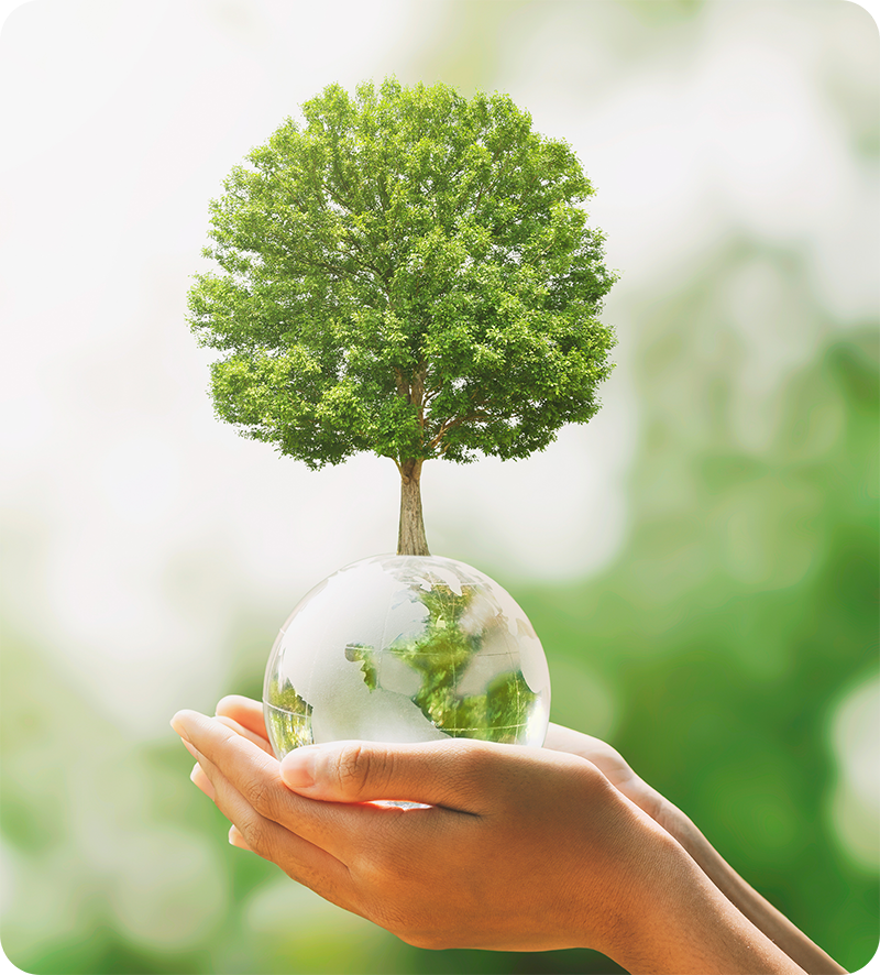 Home_Sustainability