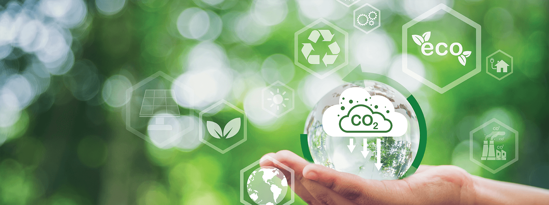 Carbon/Carbon Neutrality