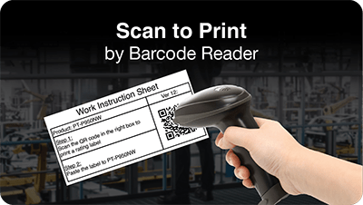 Scan to Print