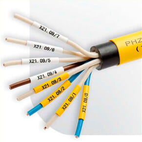 Application Output of PT-E800T